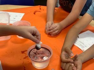 5th Grade Learns about Oil Spills 2